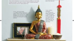 Feng Shui Feng Shui